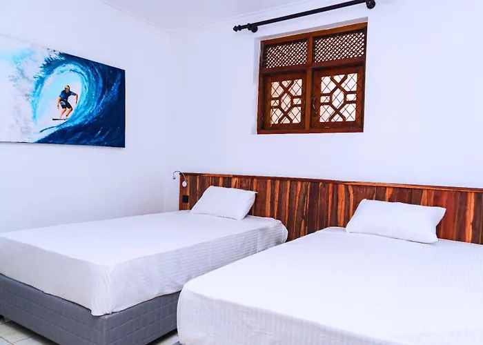 Avocado Retreat
